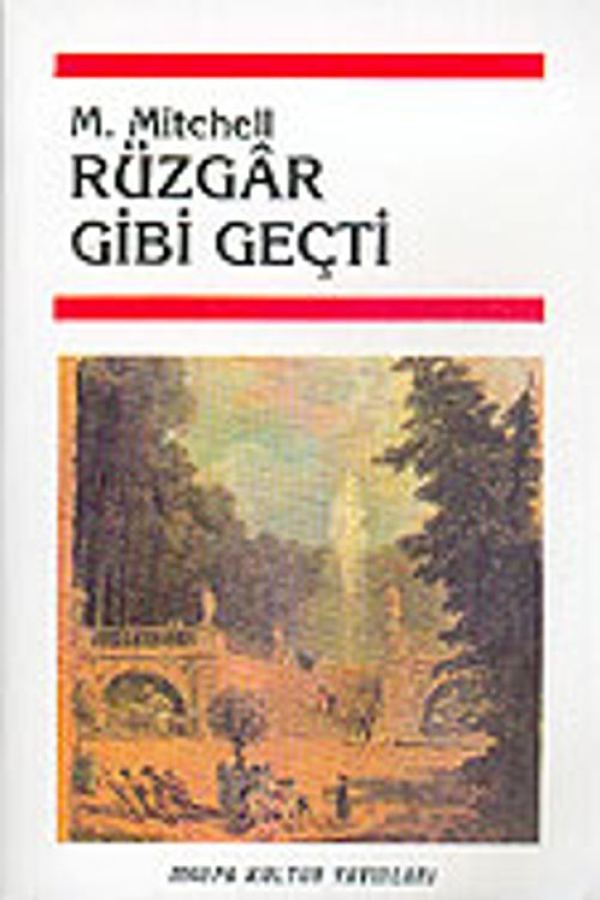 Rüzgar Gibi Geçti baskı kapağı