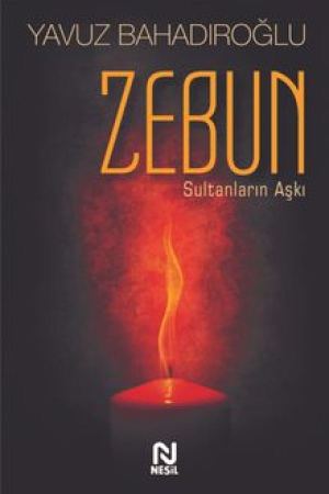 Zebun Sultanların Aşkı kapağı