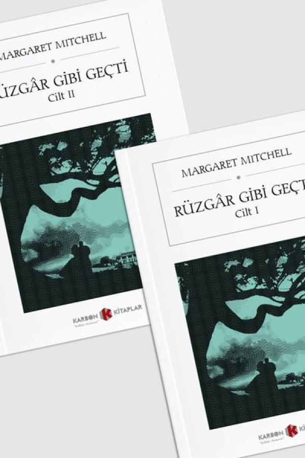 Rüzgar Gibi Geçti baskı kapağı