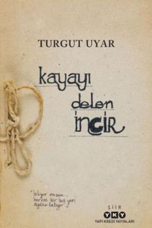 Kayayı Delen İncir kapağı