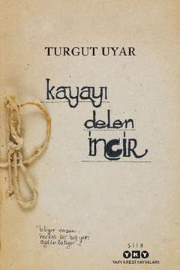 Kayayı Delen İncir kapak görseli