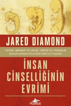 İnsan Cinselliğinin Evrimi kapağı