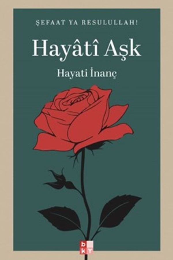 Hayati Aşk kapağı