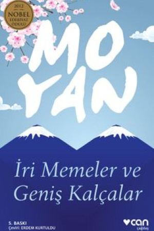 İri Memeler ve Geniş Kalçalar kapağı
