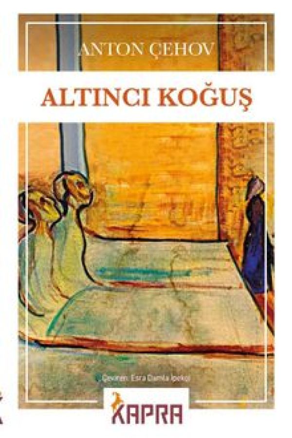 Altıncı Koğuş baskı kapağı