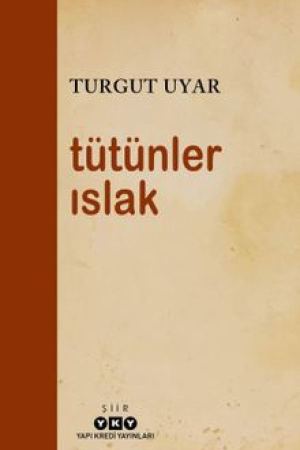 Tütünler Islak kapağı