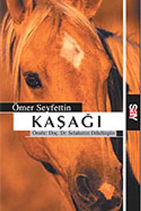 Kaşağı baskı kapağı