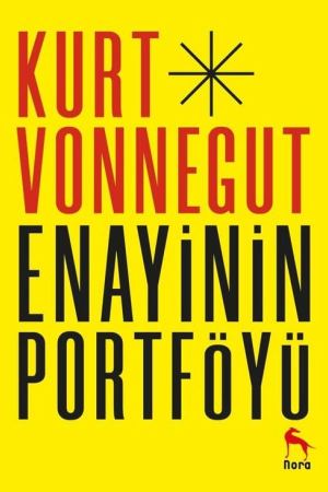 Enayinin Portföyü kapağı