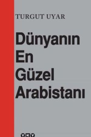Dünyanın En Güzel Arabistanı kapağı
