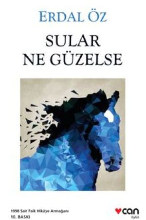 Sular Ne Güzelse kapağı