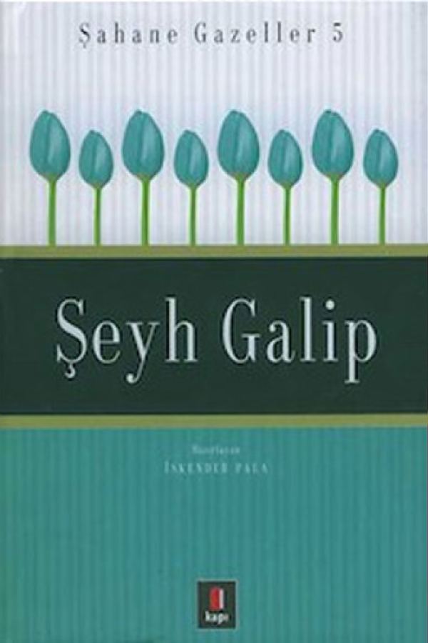 Şeyh Galip kapak görseli