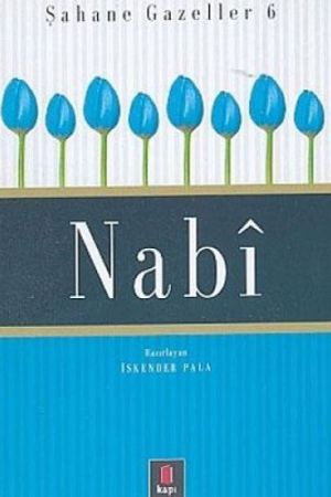 Nabi kapağı