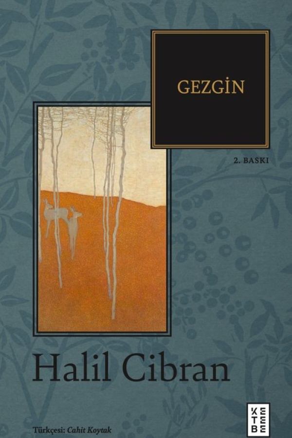 Gezgin baskı kapağı