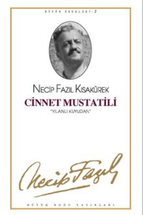 Cinnet Mustatili baskı kapağı