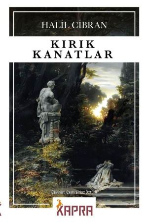 Kırık Kanatlar kapağı