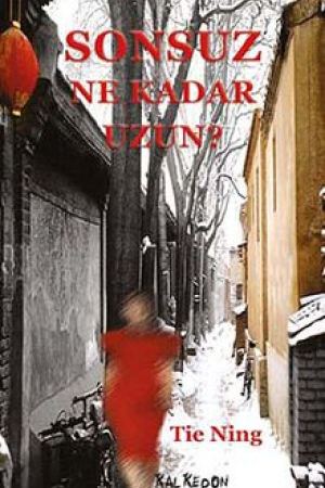 Sonsuz Ne Kadar Uzun? kapağı