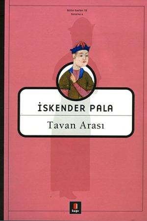 Tavan Arası kapağı