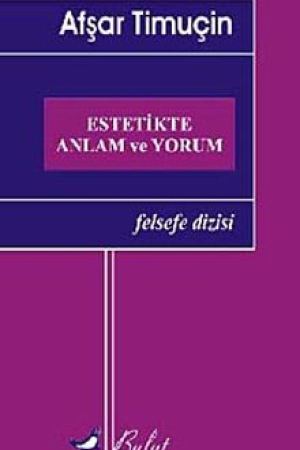Estetikte Anlam ve Yorum kapağı