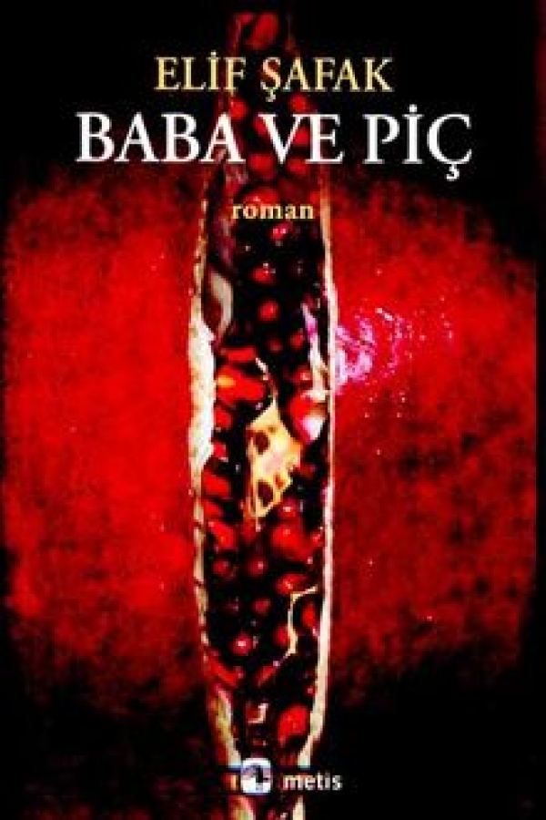 Baba ve Piç baskı kapağı