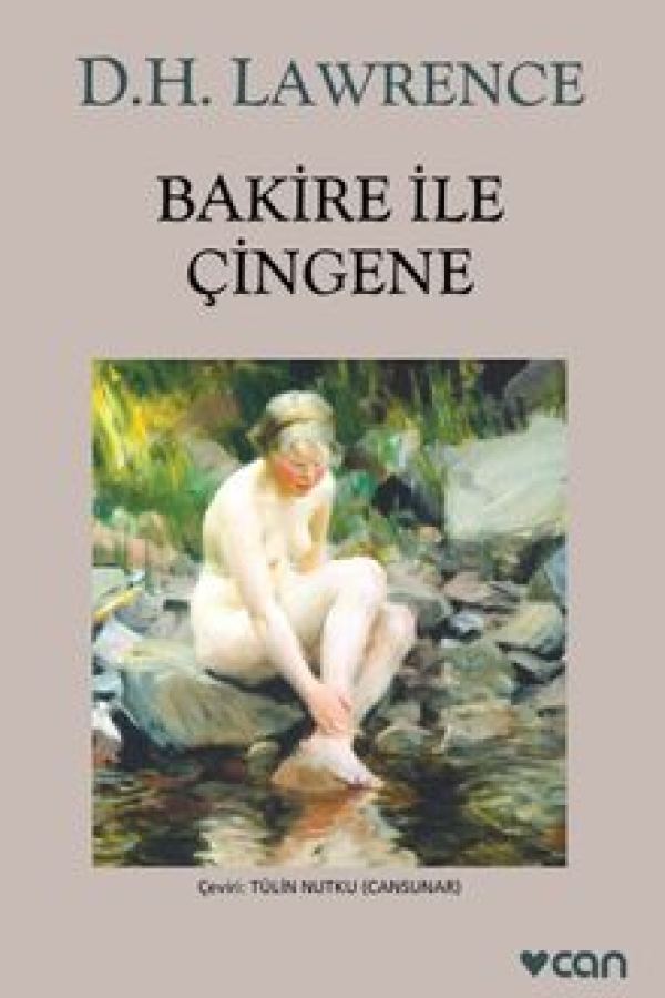 Çingene ve Bakire baskı kapağı