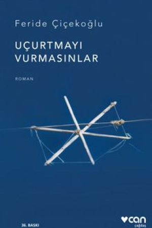 Uçurtmayı Vurmasınlar kapağı