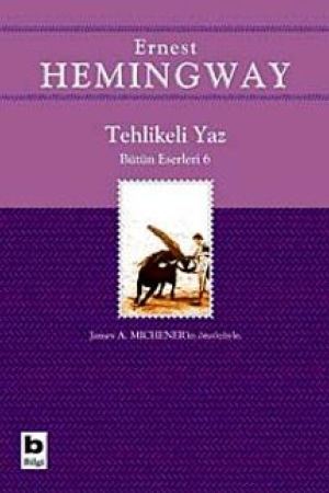 Tehlikeli Yaz kapağı