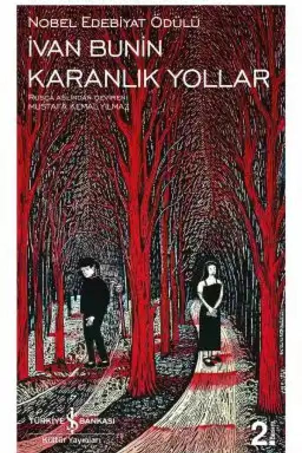 Karanlık Yollar kapağı
