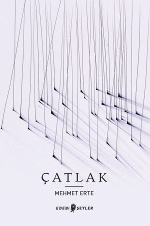 Çatlak kapağı