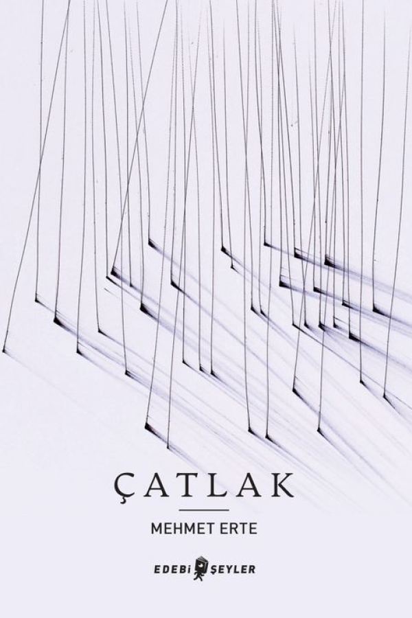 Çatlak baskı kapağı