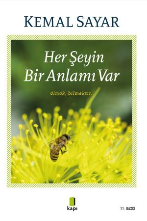 Her Şeyin Bir Anlamı Var kapağı