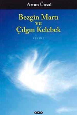 Bezgin Martı ve Çılgın Kelebek kapağı
