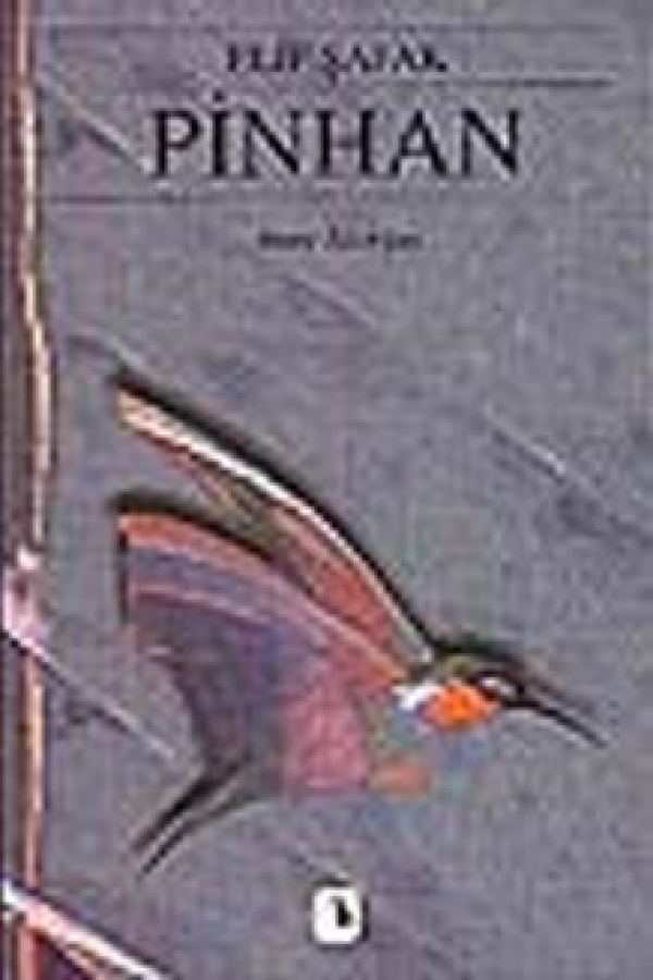 Pinhan baskı kapağı